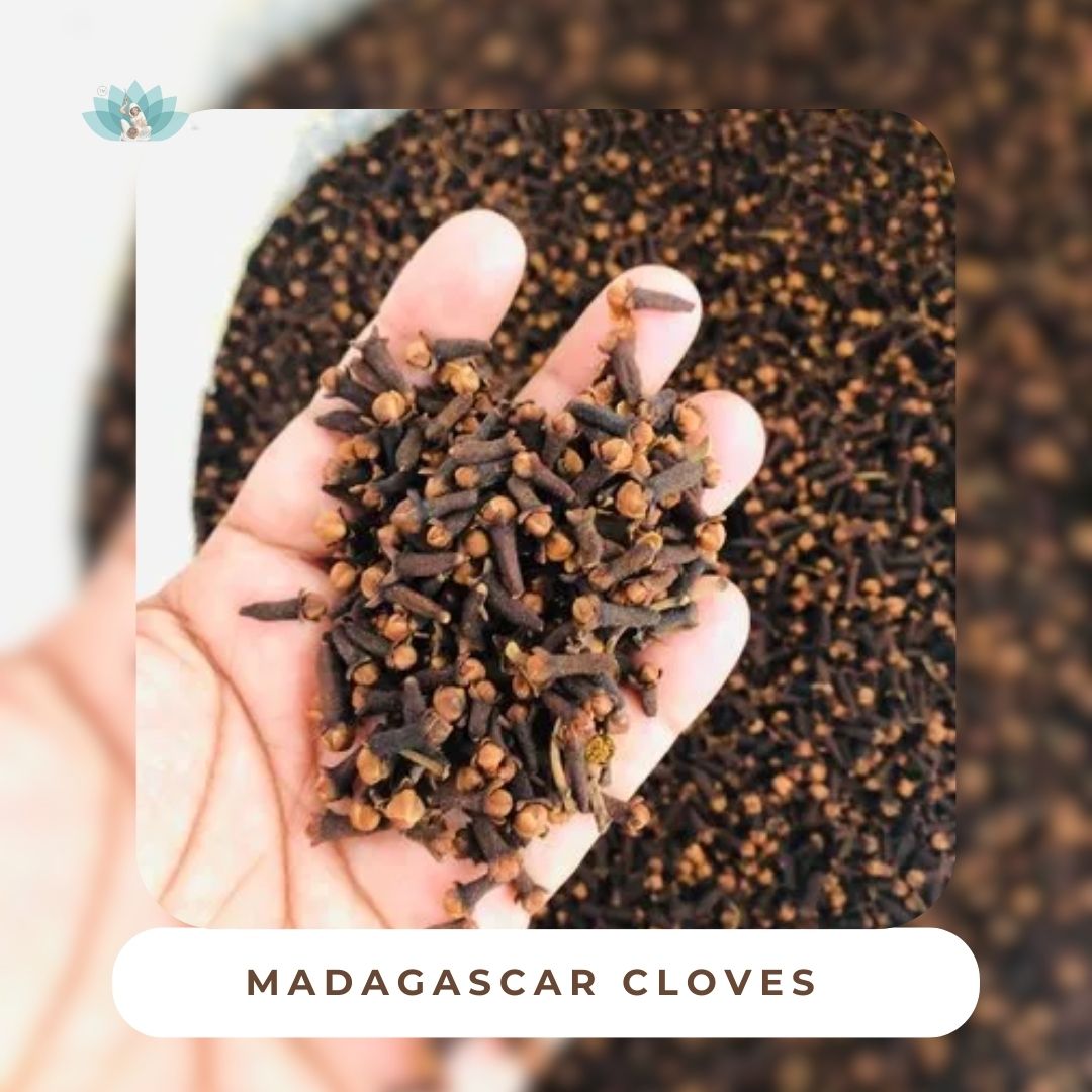 High-quality organic whole cloves from Madagascar for wholesale and retail