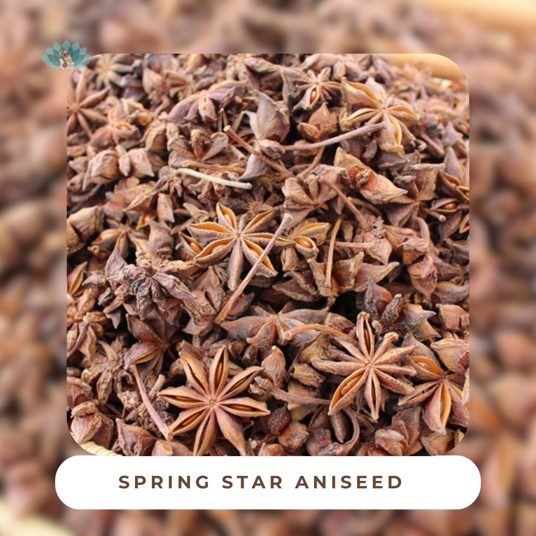 Premium Spring Star Aniseed - High-Quality Star Anise Spice from Mira Masala