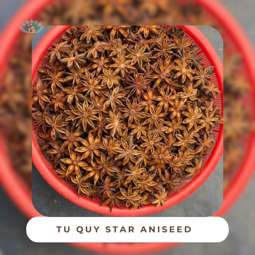 High-quality whole star anise pods from Tue Que Star Aniseed