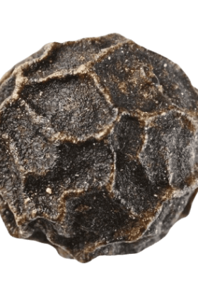 Sa-pepper-removebg-preview