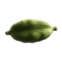 cardamo-pod-1
